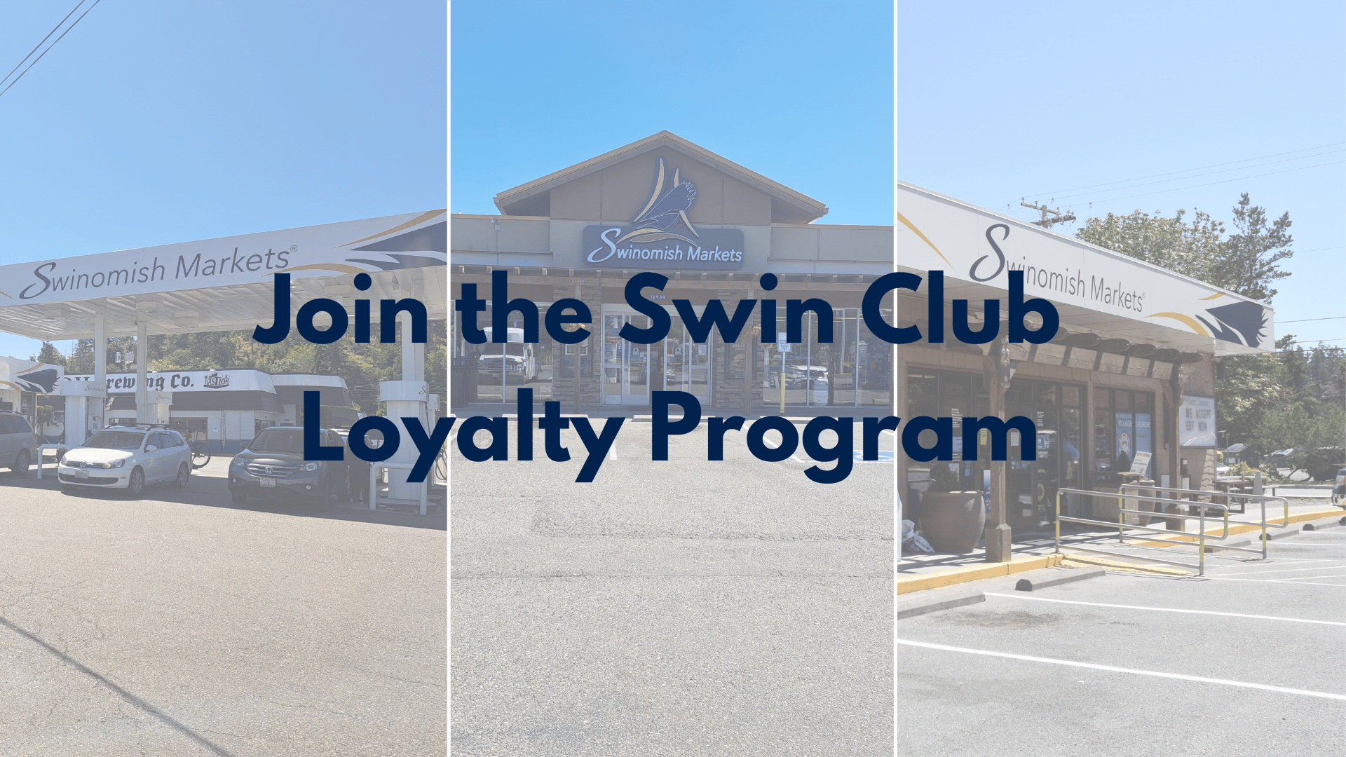 Get More With Each Purchase When You Join The Swin Club Loyalty Program